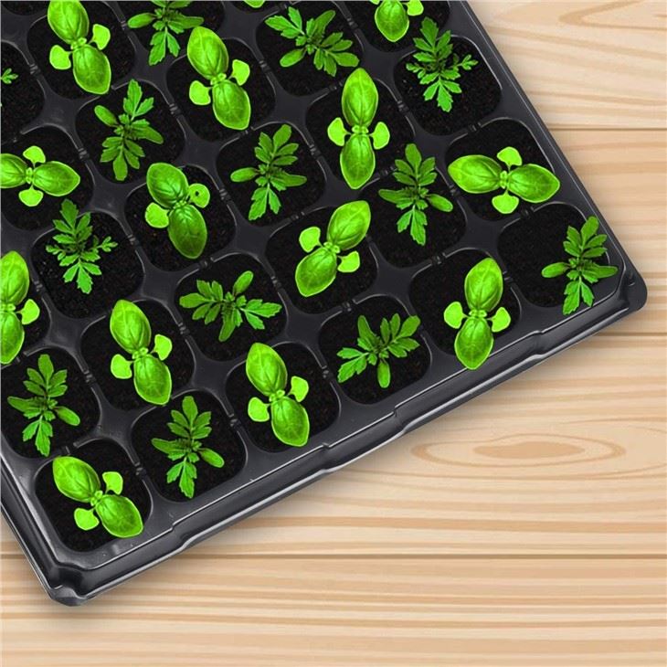 72 Cells Seedling Trays