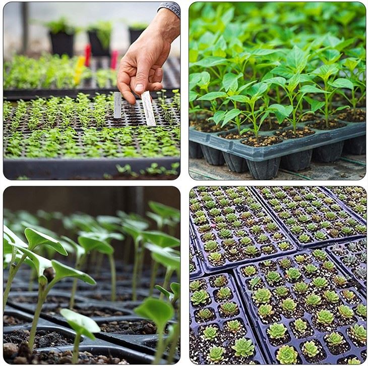 72 Cells Seedling Trays